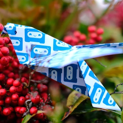 Castopod: the voice of the Fediverse (Interview with Framasoft)